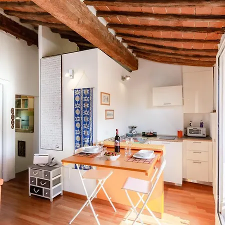 Piazza Dei Cavalieri Orange Attic *